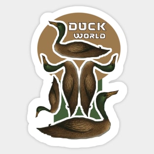 World of ducks Sticker